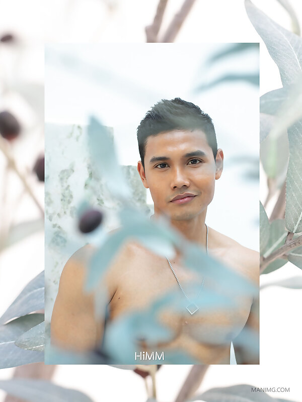 Next Image >>