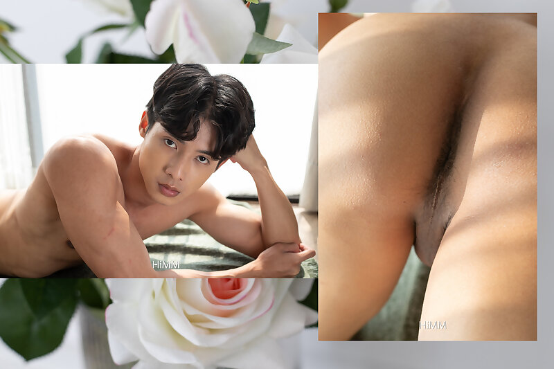 Next Image >>