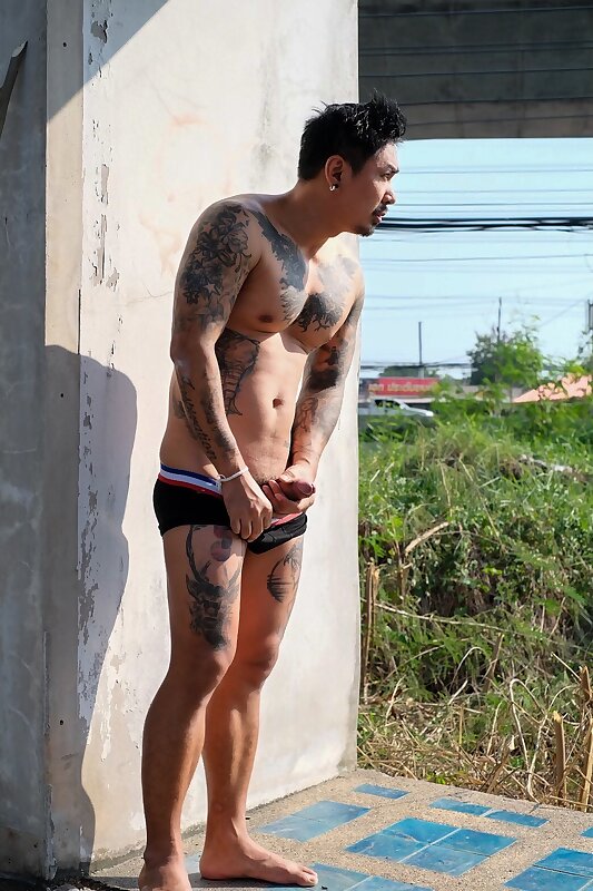Next Image >>