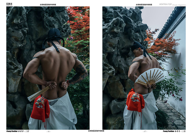 Next Image >>