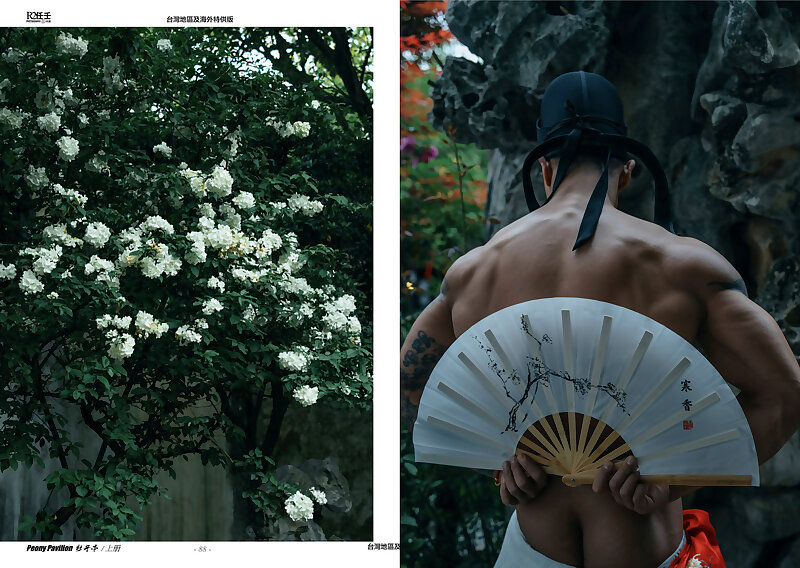 Next Image >>