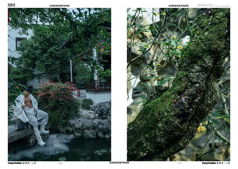 Next Image >>