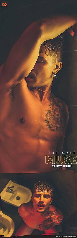 Next Image >>