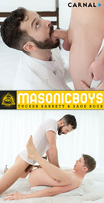 Next Image >>