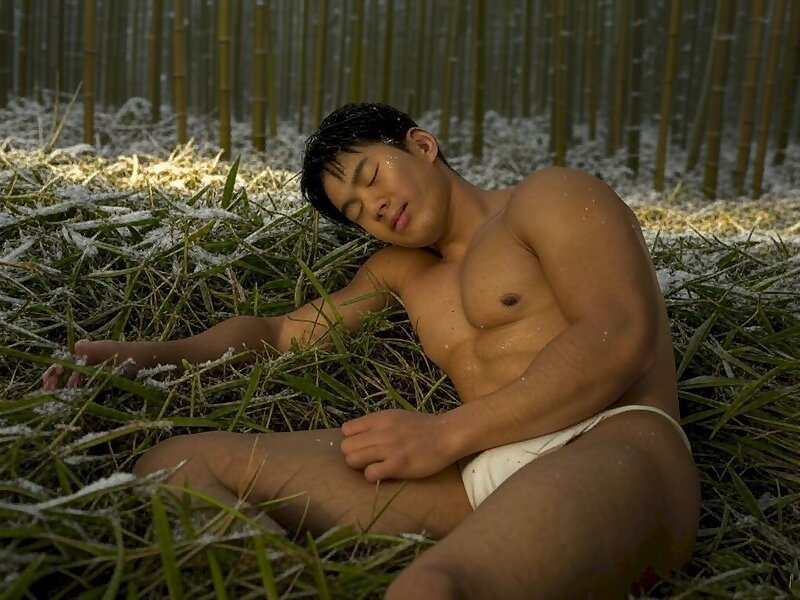 Next Image >>