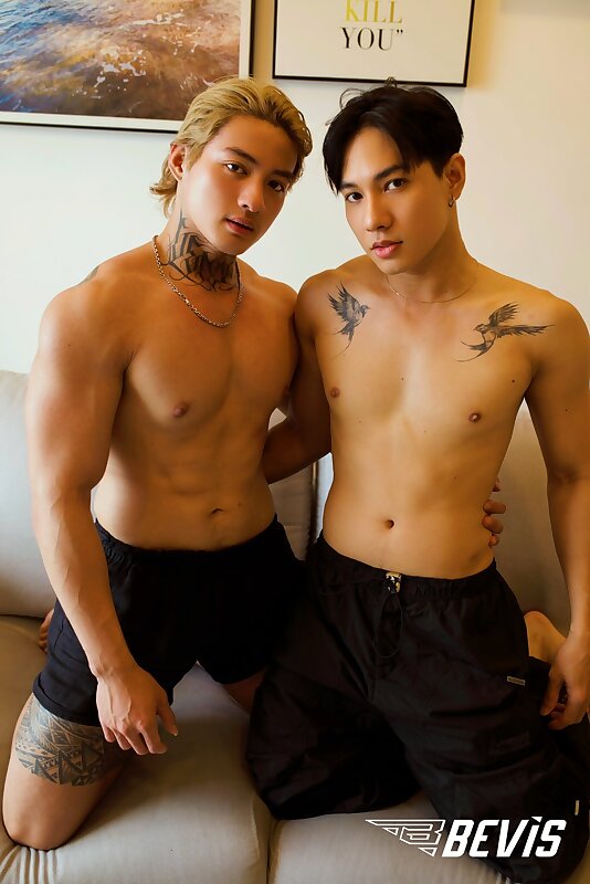 Next Image >>