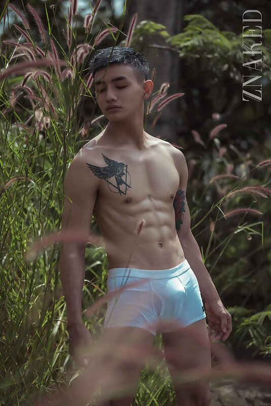 Next Image >>