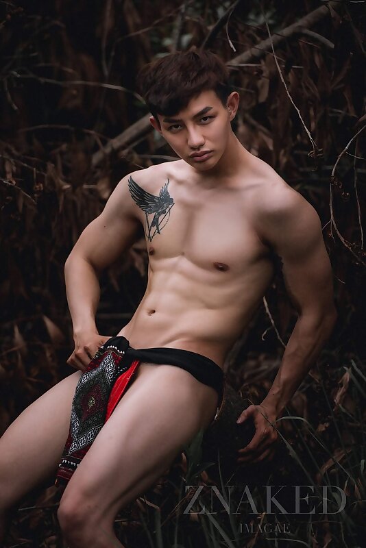 Next Image >>