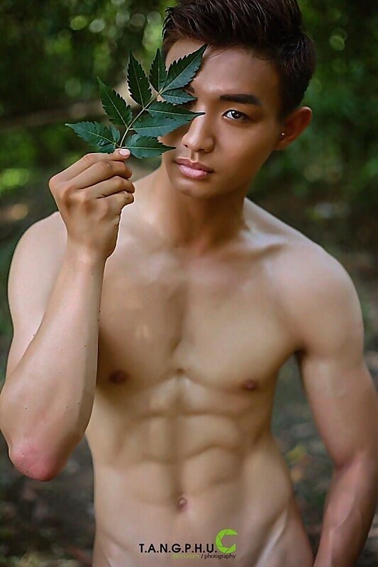 Next Image >>
