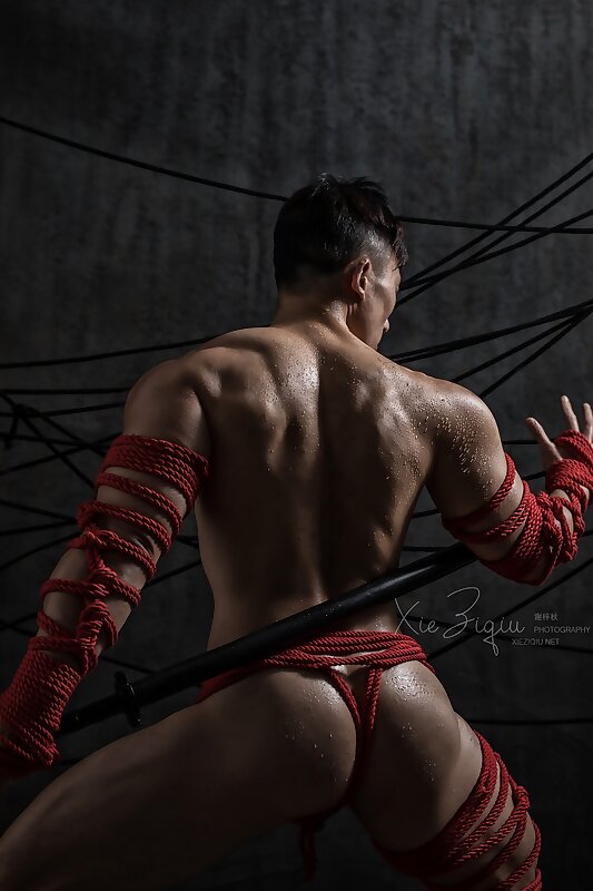 Next Image >>