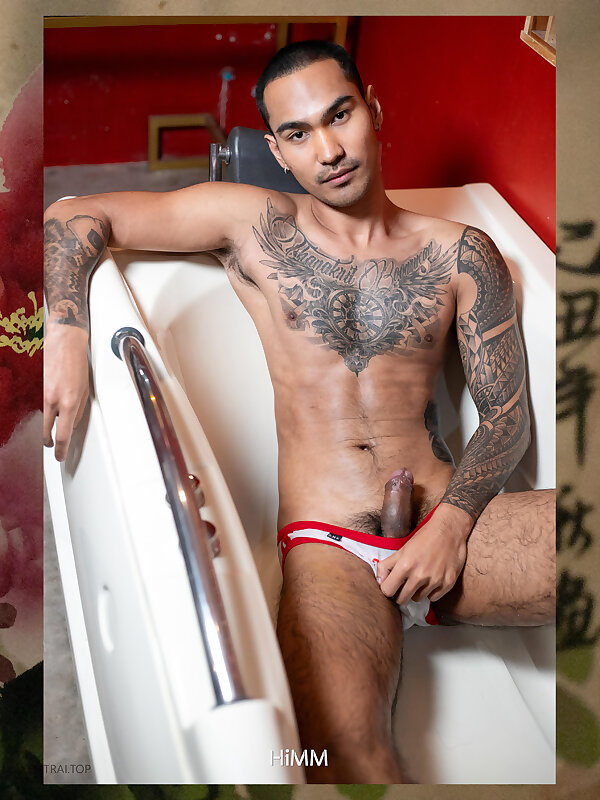 Next Image >>