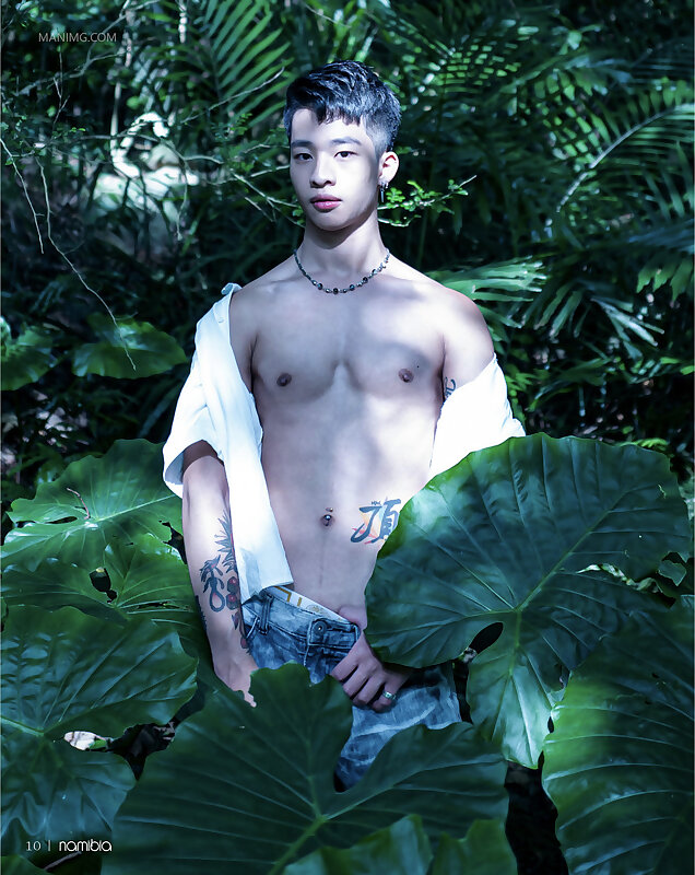 Next Image >>