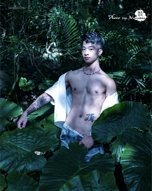Next Image >>