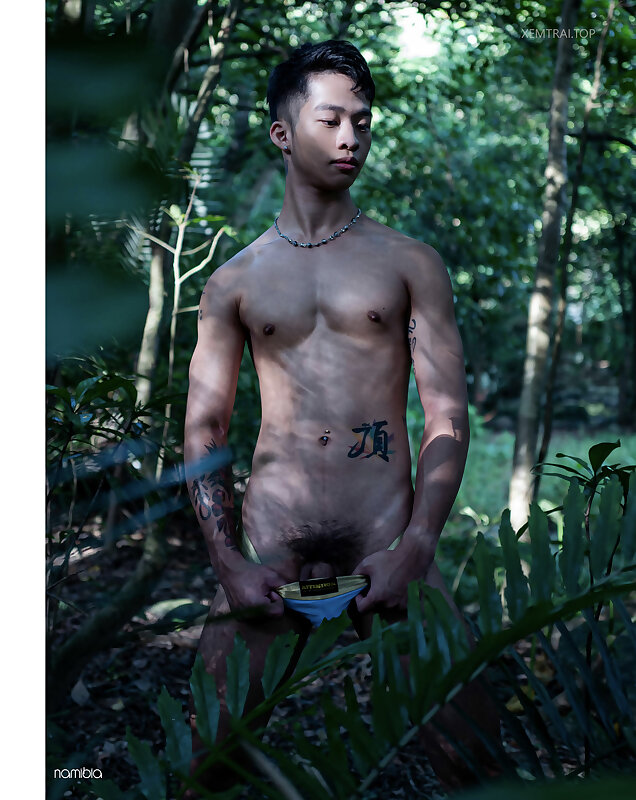 Next Image >>
