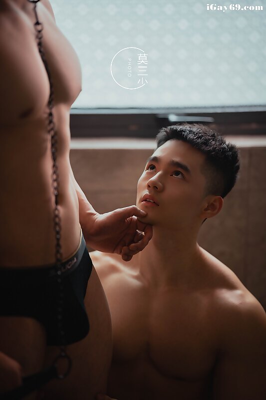 Next Image >>