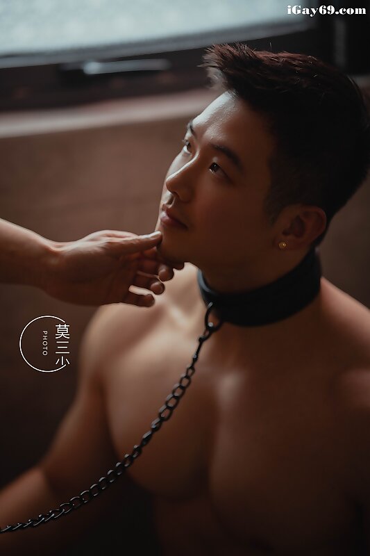Next Image >>