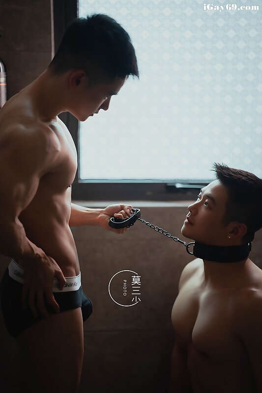 Next Image >>