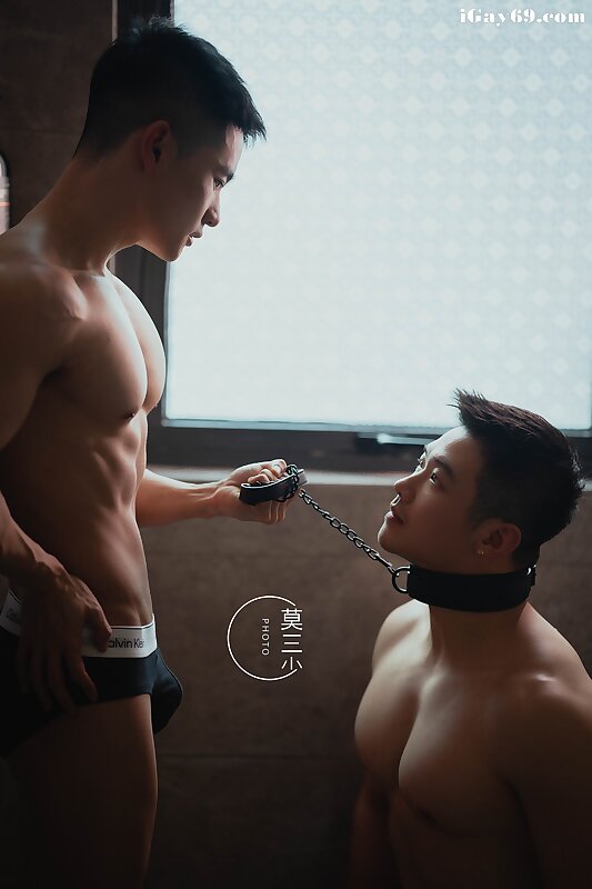 Next Image >>