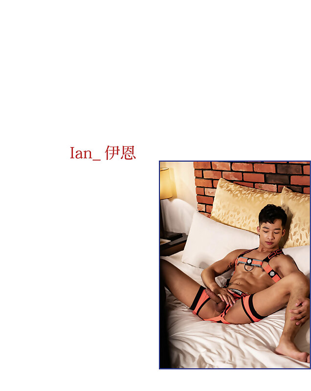 Next Image >>