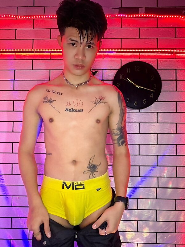 Next Image >>