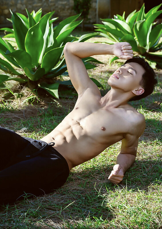Next Image >>