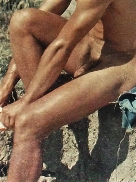 Next Image >>