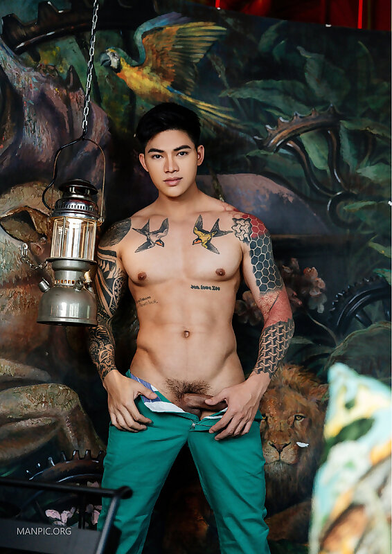 Next Image >>