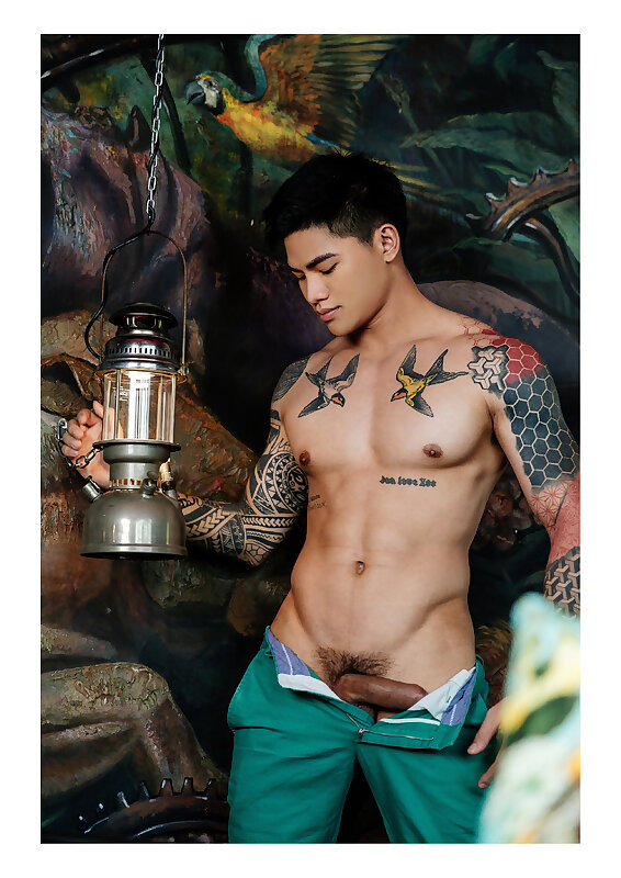 Next Image >>