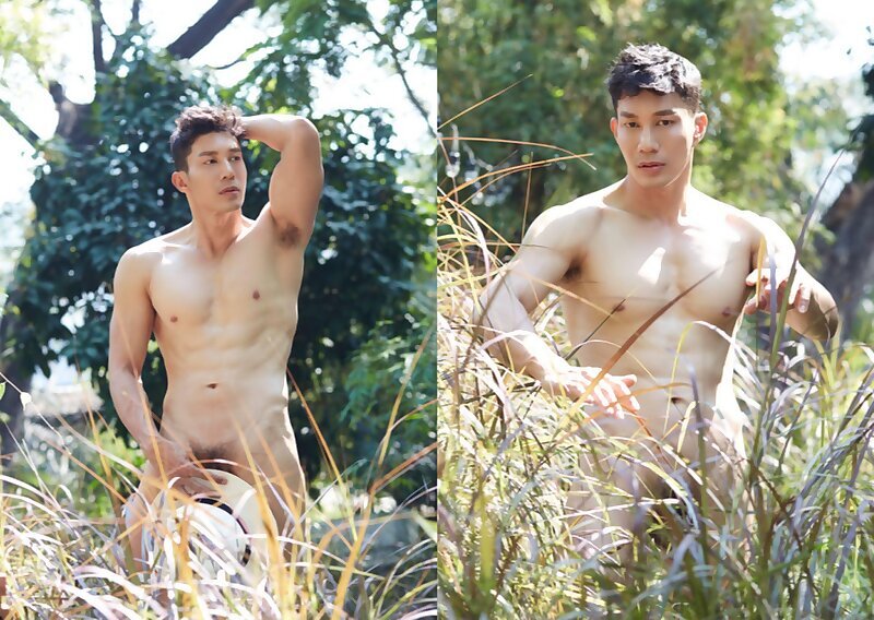 Next Image >>