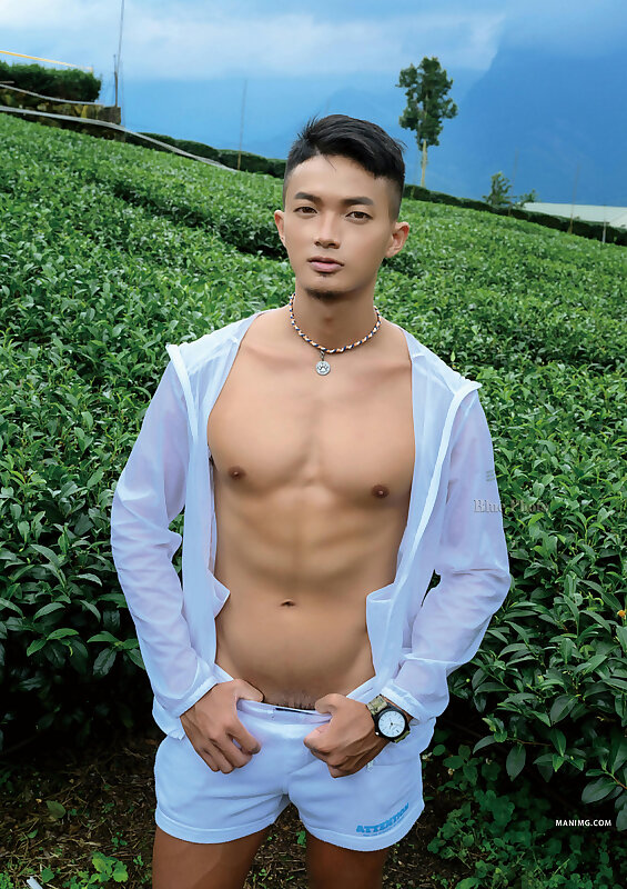 Next Image >>