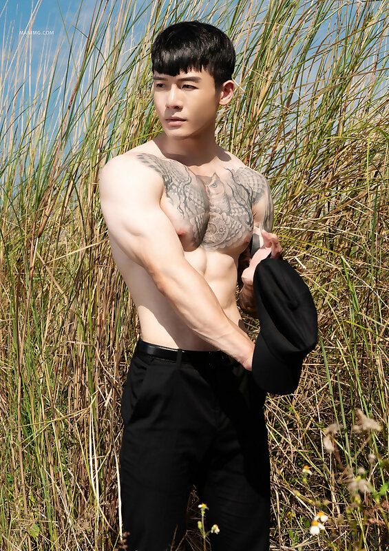 Next Image >>