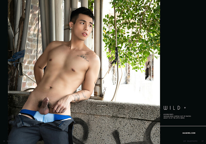 Next Image >>