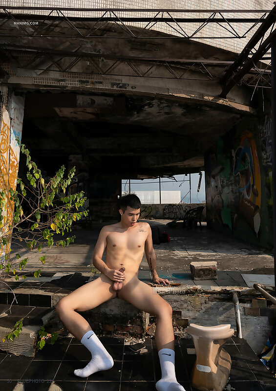 Next Image >>