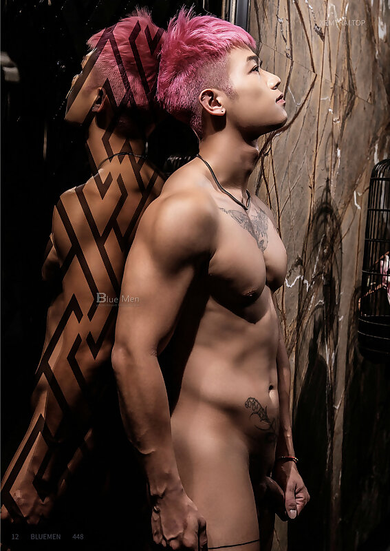 Next Image >>