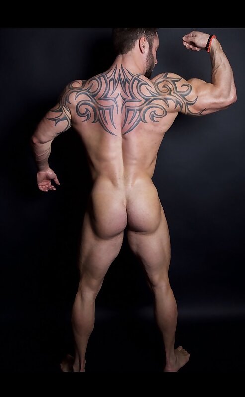 Next Image >>