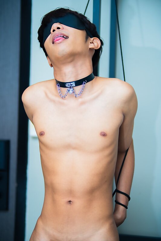 Next Image >>