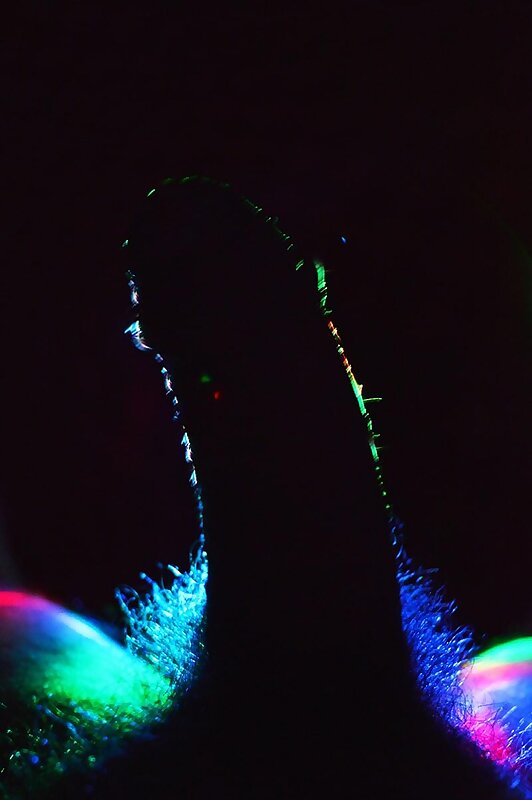 Next Image >>