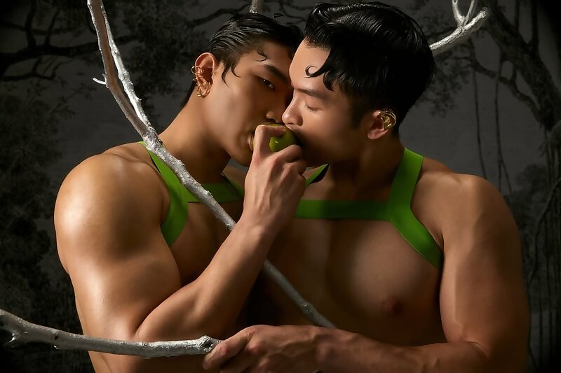 Next Image >>