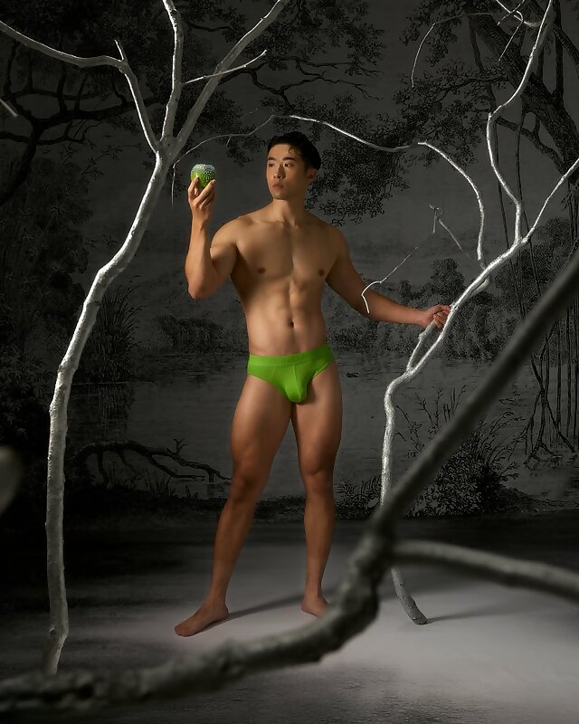 Next Image >>