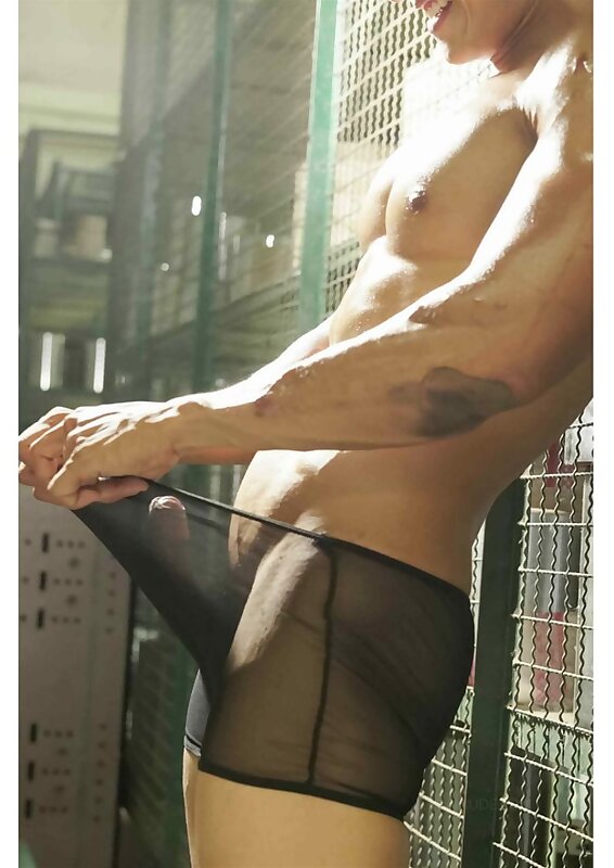 Next Image >>