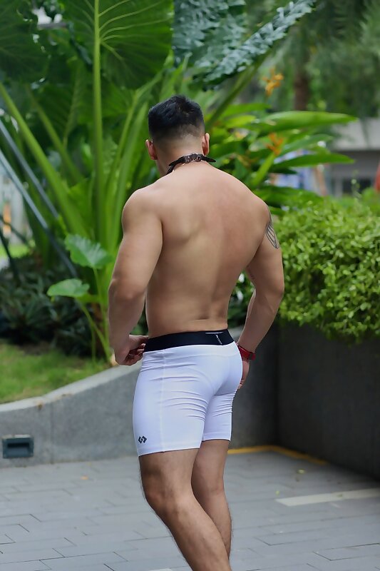 Next Image >>