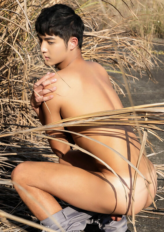 Next Image >>