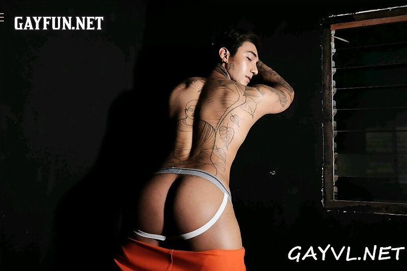 Next Image >>
