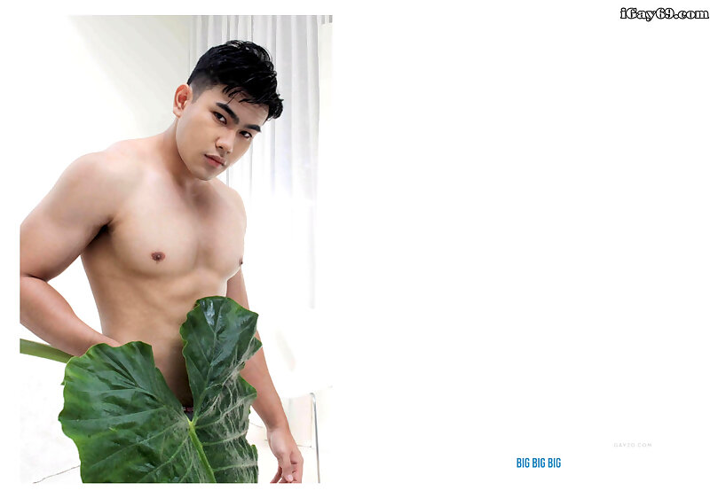 Next Image >>