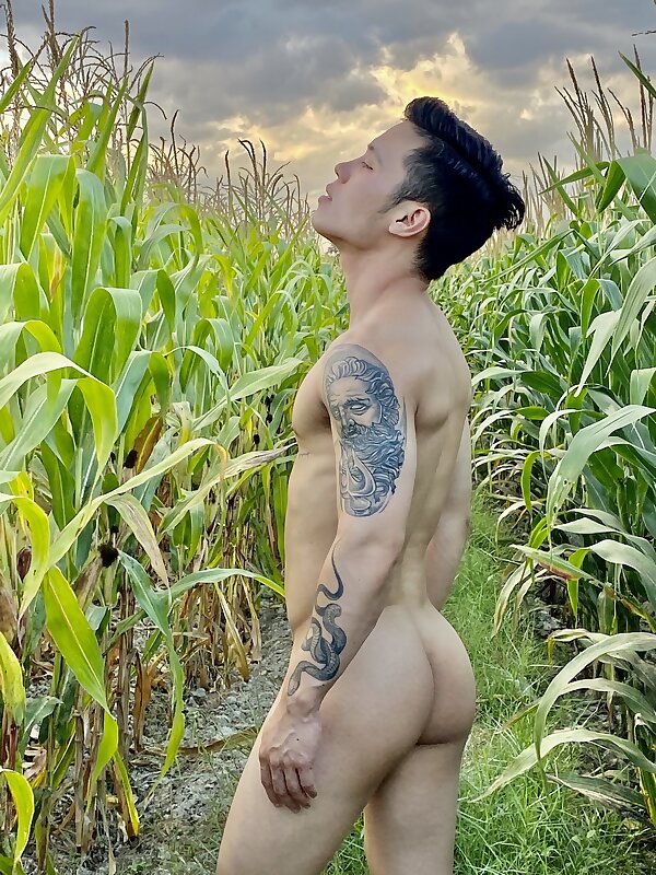Next Image >>