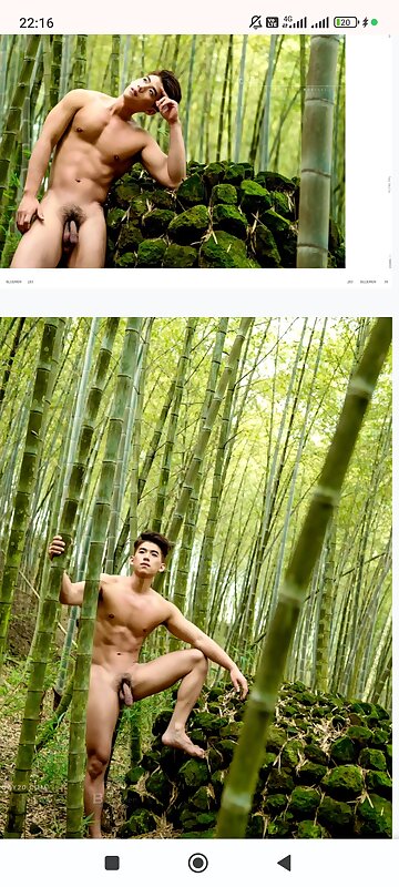 Next Image >>