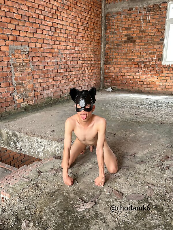 Next Image >>