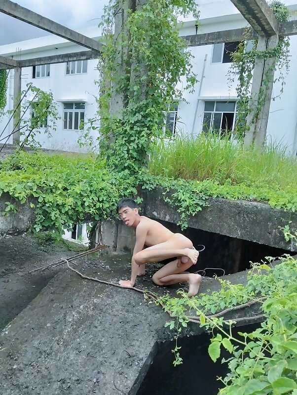 Next Image >>