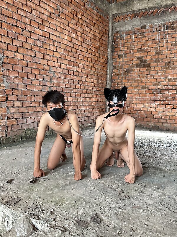 Next Image >>