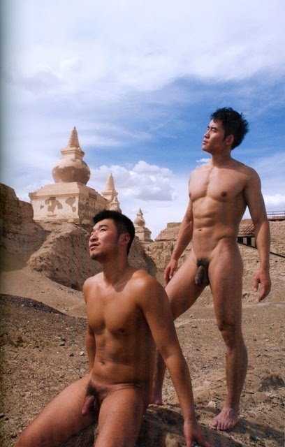Next Image >>